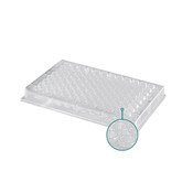 96-Well Plate, PP